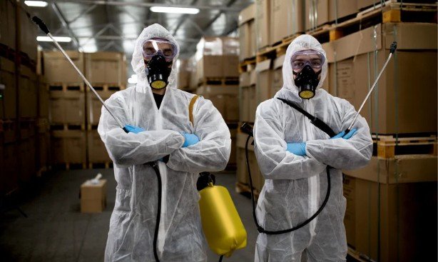 Cost Considerations for Pest Control Services