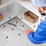 Effective Pest Control Services in Nowra
