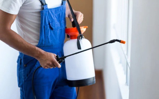 The Importance of Professional Pest Control Nowra Provides